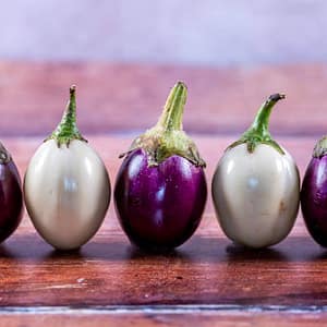Eggplant(Garden Egg)