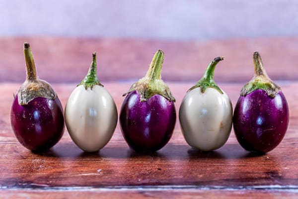 Eggplant(Garden Egg)